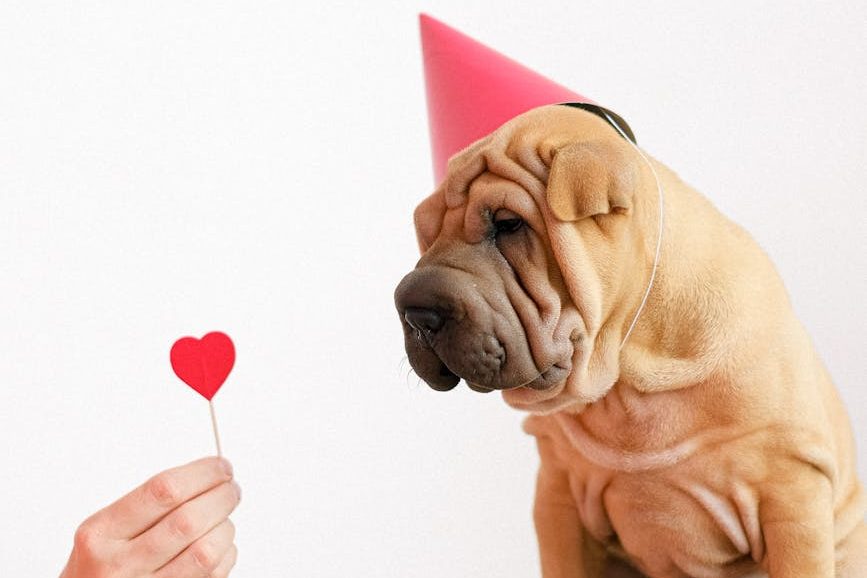 Most “brand loyalty” is just habit, not&nbsp;love